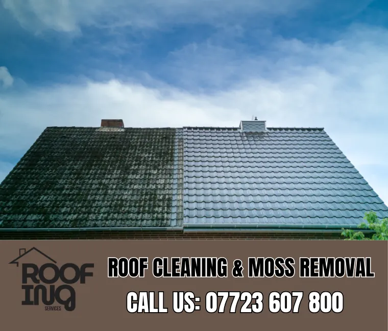 Roof cleaning and moss removal in Mevagissey